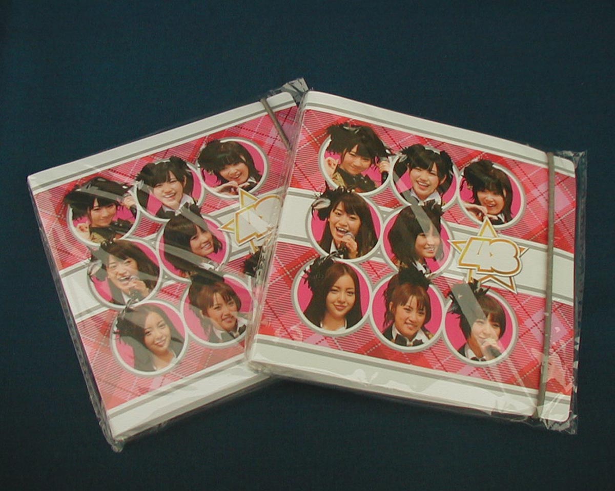 AKB48CD/DVDケース2冊□ディスクフォルダー収納ファイルブック指原莉乃